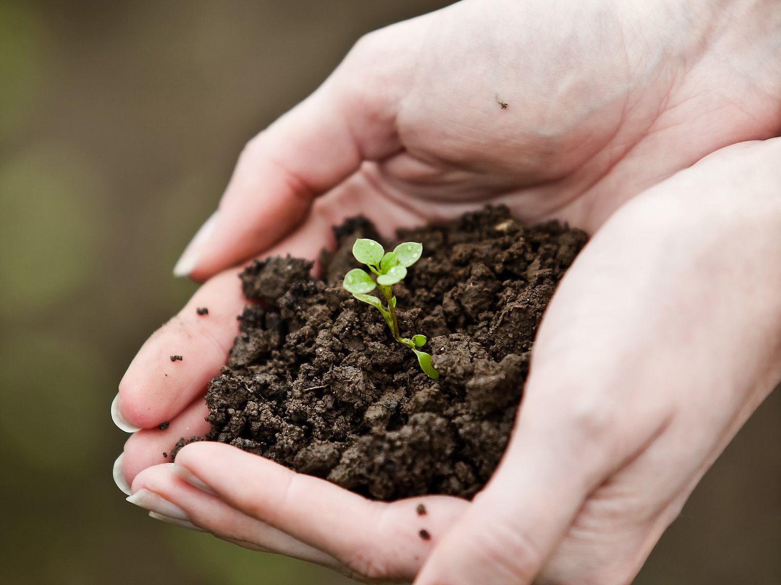 7b8a561290250bd4e940e234eafaea146b1aec72