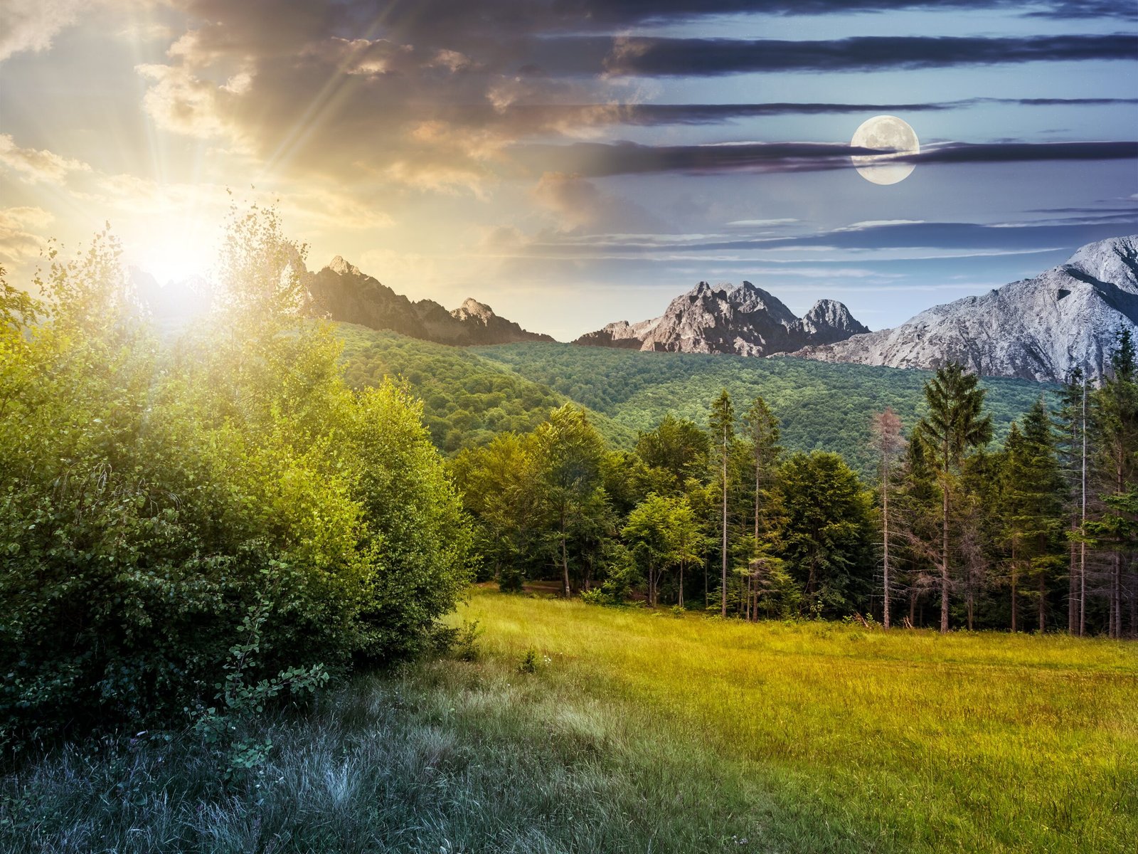 bb2c5197b61d972300e091cd57d70f056b8e88e3